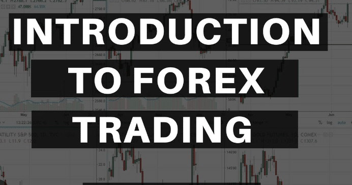 An Introduction to Forex Brokers 